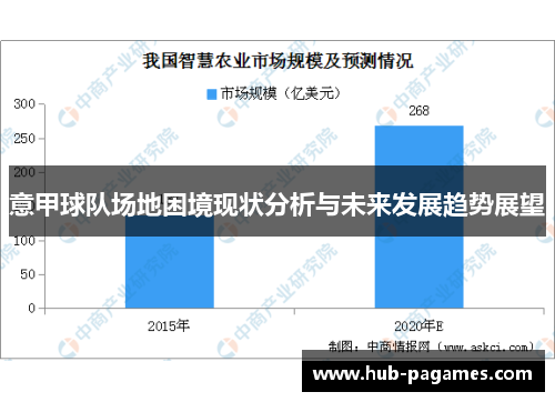 意甲球队场地困境现状分析与未来发展趋势展望