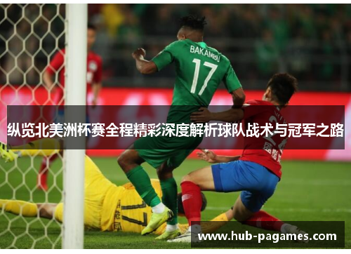 纵览北美洲杯赛全程精彩深度解析球队战术与冠军之路