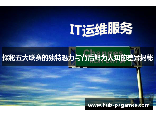 探秘五大联赛的独特魅力与背后鲜为人知的差异揭秘
