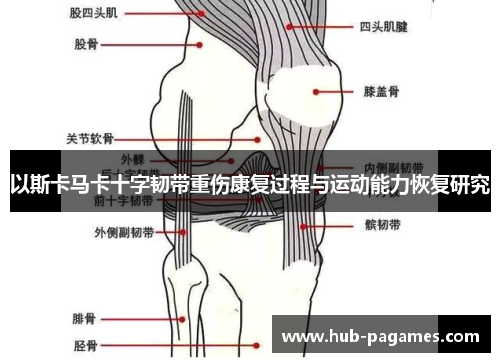 以斯卡马卡十字韧带重伤康复过程与运动能力恢复研究 以斯卡马卡十字韧带重伤康复过程与运动能力恢复研究