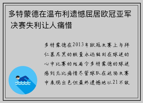 多特蒙德在温布利遗憾屈居欧冠亚军 决赛失利让人痛惜 多特蒙德在温布利遗憾屈居欧冠亚军 决赛失利让人痛惜